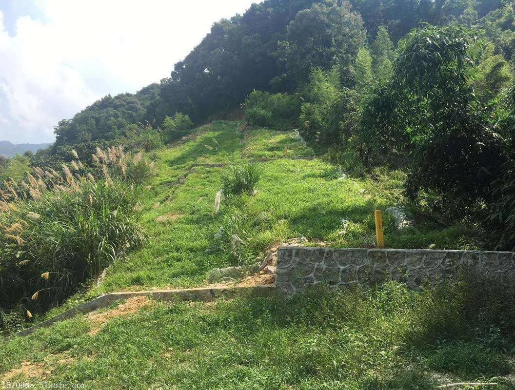 生态修复为什么一定要用专用恢复种子?荒山荒地复绿核心干货