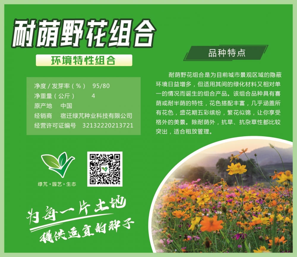耐荫野花组合