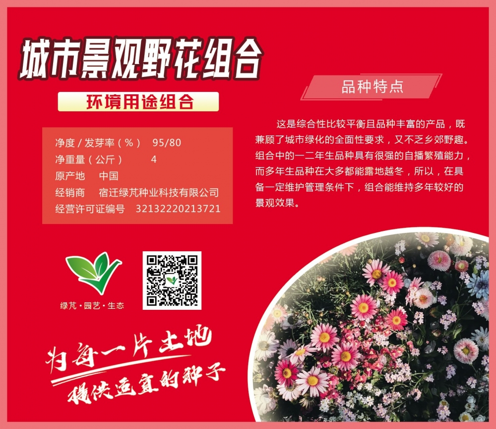 城市景觀野花組合