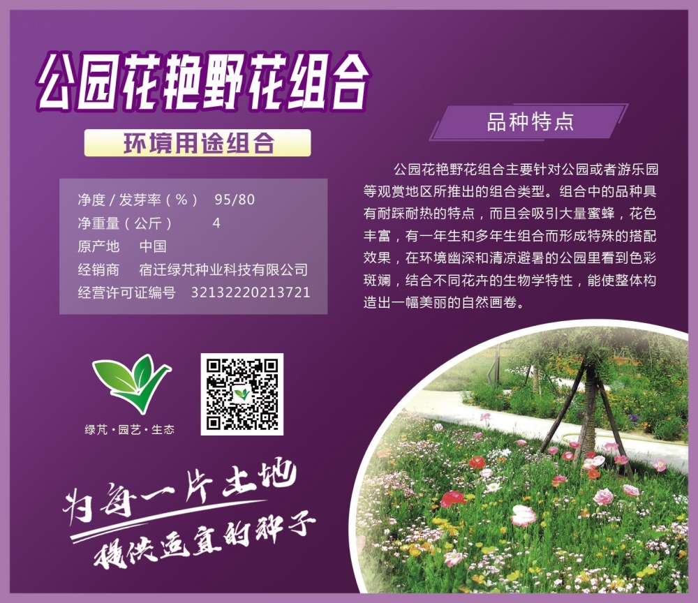公园花艳野花组合