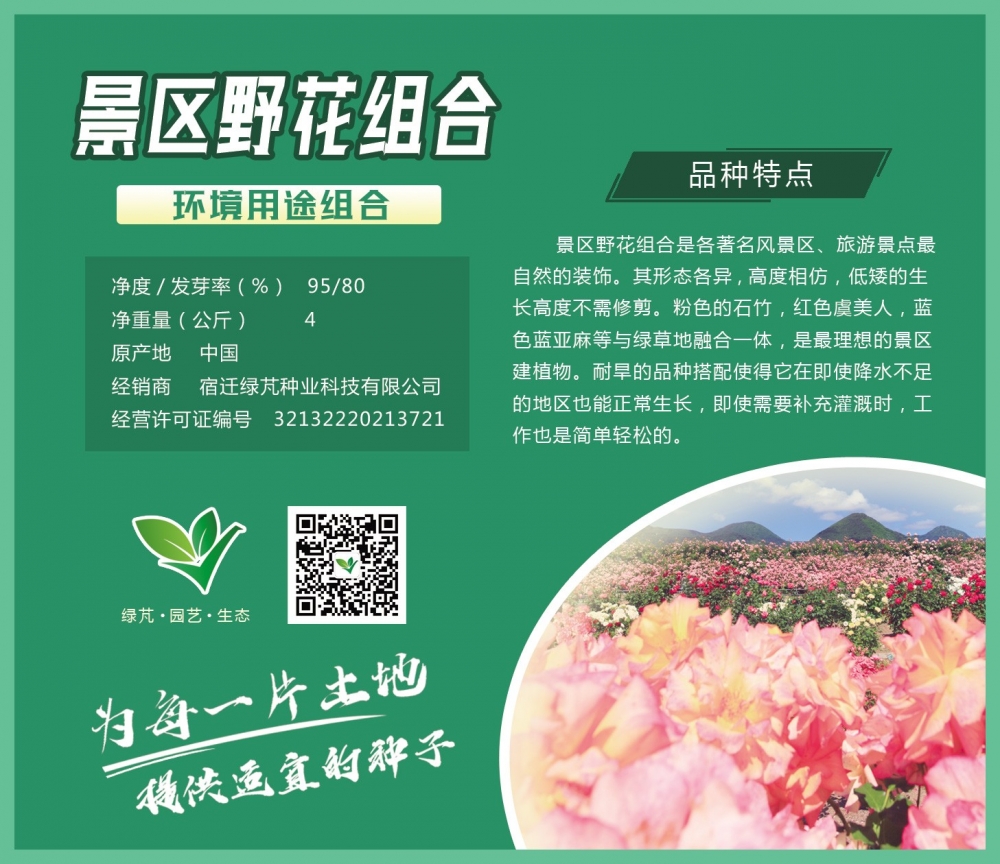 景區(qū)野花組合