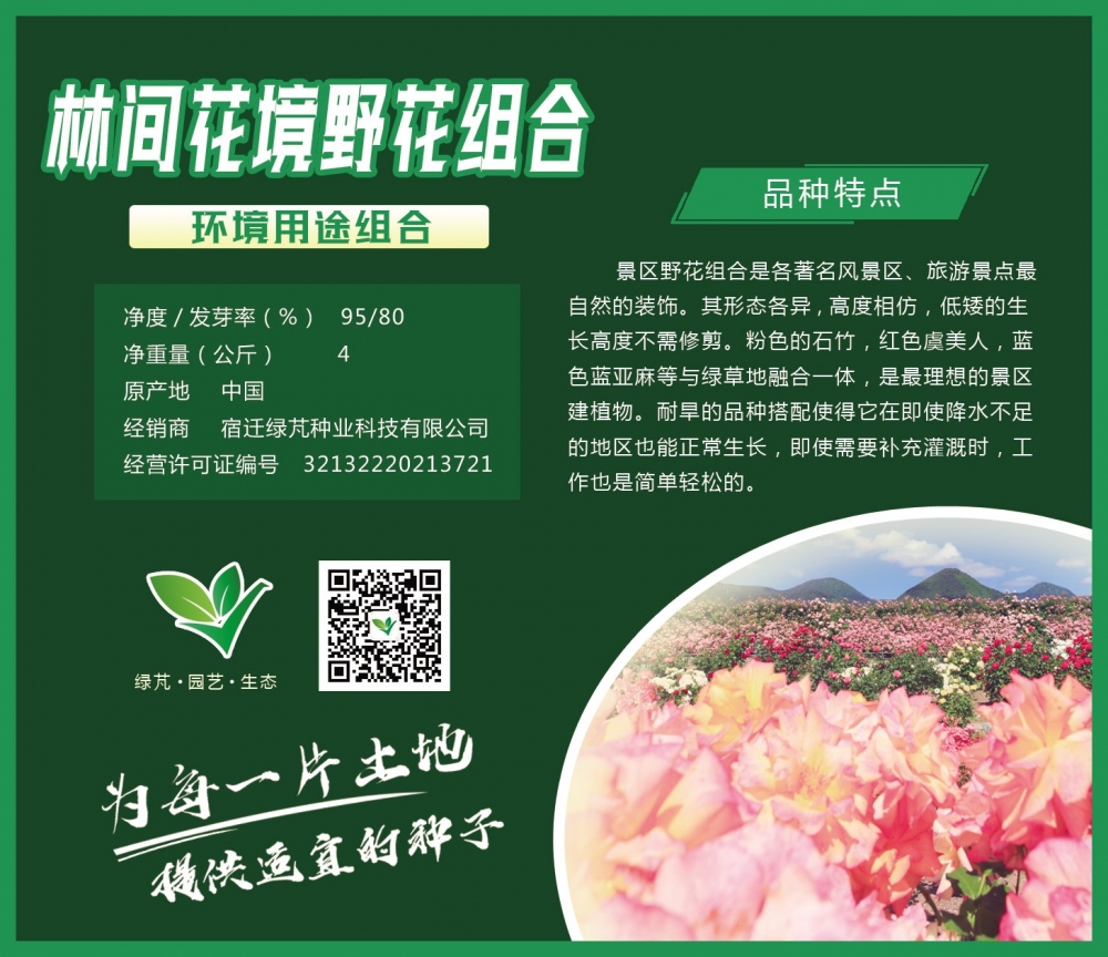 林间花境野花组合