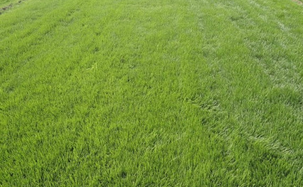 1ca6553b00fdb9d097d28ae8d725e228 1ca6553b00fdb9d097d28ae8d725e228