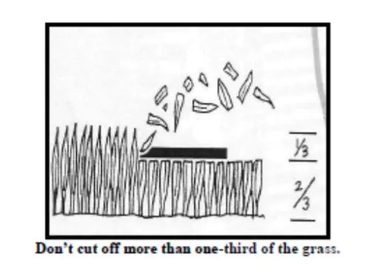 18d71357ea67ceaf8d9f58d2df7722cc 18d71357ea67ceaf8d9f58d2df7722cc