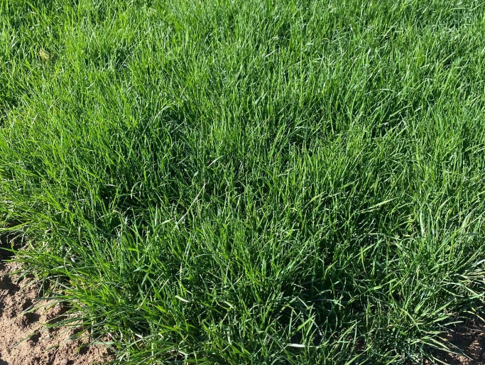 536e71f6-eac6-4ad3-95bd-dff9975ef699 536e71f6-eac6-4ad3-95bd-dff9975ef699