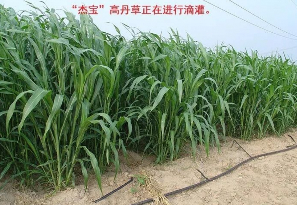 db5f8ee6-2136-48ca-8663-caca9db147bd