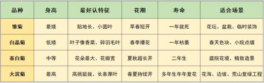 f0cb36ae-772c-4131-ac8a-ea9feb4805f4